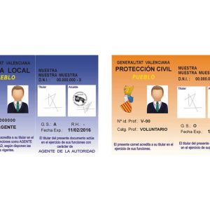Carnet Profesional (TIP)